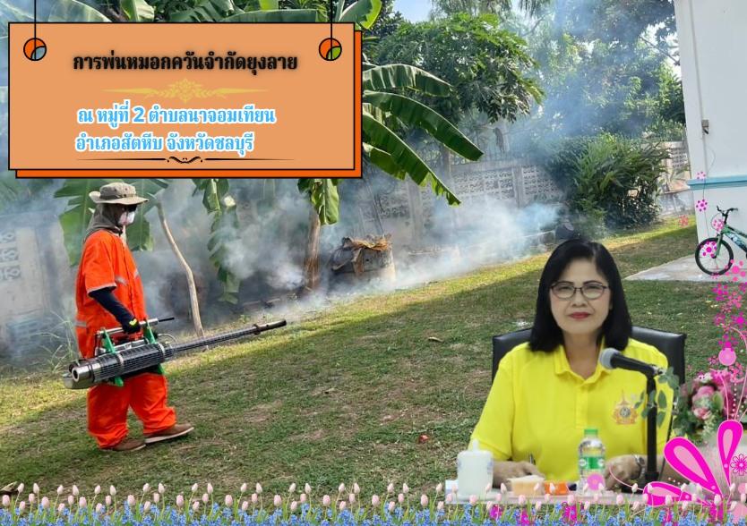 การพ่นหมอกควันจำกัดยุงลาย