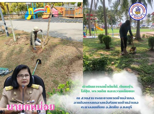 ดำเนินการรดน้ำต้นไม้, ต้นหญ้า, ใส่ปุ๋ย, พรวนดิน และกวาดเก็บขยะ
