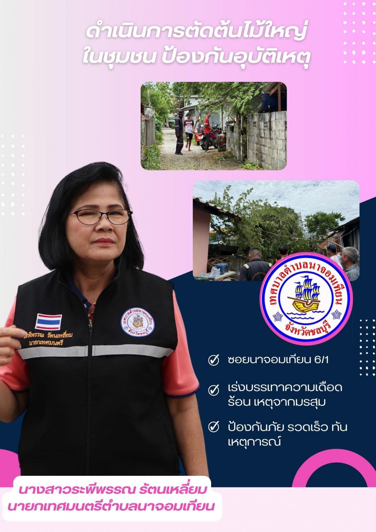 ลงพื้นที่ตรวจสอบต้นไม้ใหญ่ในชุมชน และเร่งดำเนินการตัด 